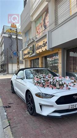 فورد موستانج